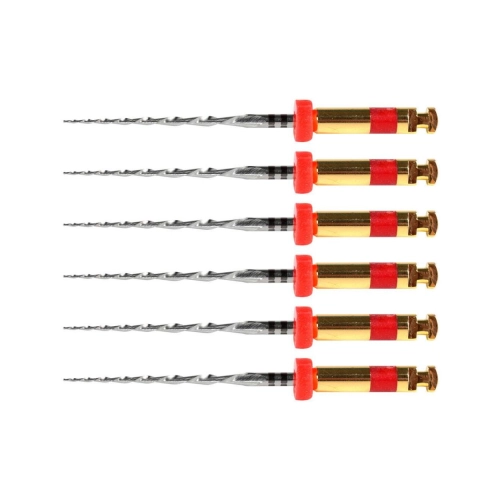 POLODENT RCP FILES 21mm R25 ROOD (6st)
