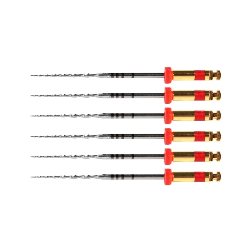 POLODENT RCP FILES 31mm R25 ROOD (6st)