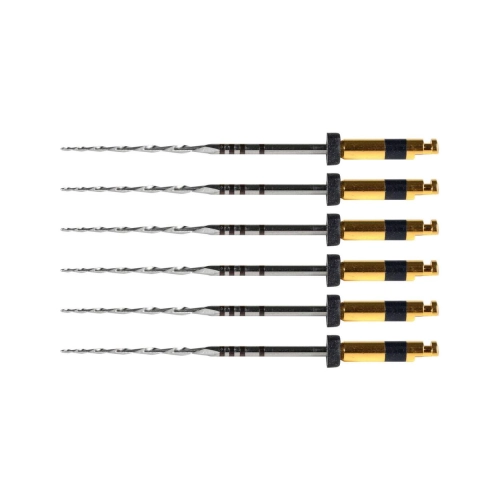 POLODENT RCP FILES 31mm R40 ZWART (6st)