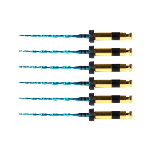 POLODENT RCP BLUE FILES 21mm R40 ZWART (6st)