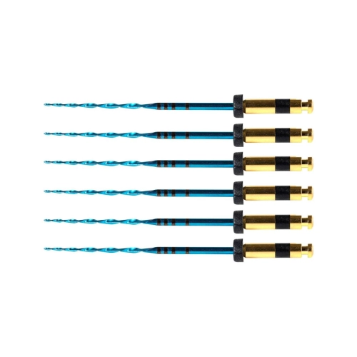 POLODENT RCP BLUE FILES 31mm R40 ZWART (6st)