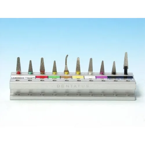 DENTATUS PROFIN LAMINEERTIPS ASSORTIMENT MET STANDAARD (10st)