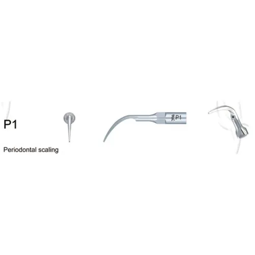 WOODPECKER SCALER TIP NR.P1 VOOR EMS