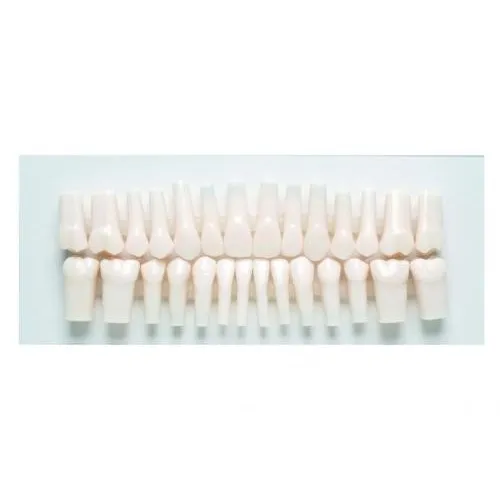 MORITA SINGLE PERMANENT TOOTH A5H-500-3/6 (1st)