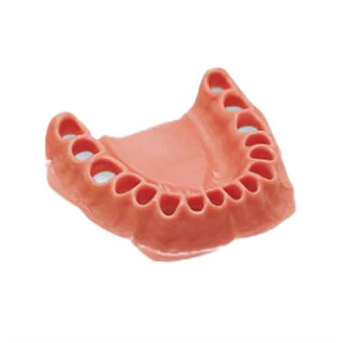 FRASACO VERWIJDERBARE GINGIVA ONDERKAAK VOOR STUDIEMODEL AG-3