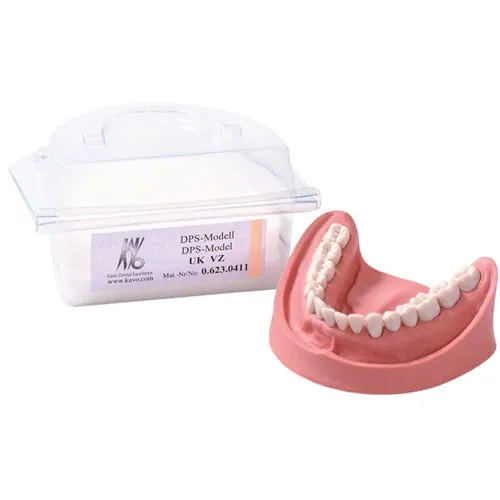 KAVO SIMULATIEMODEL ONDERKAAK COMPLEET (16 ELEMENTEN)