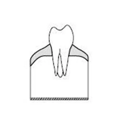 KAVO SIMULATIEMODEL ELEMENT 3-6 MOLAREN (10st) 0.623.1364