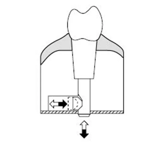 KAVO SIMULATIEMODEL ELEMENT 3-5 PREMOLAAR (100st) REF 0.623.1355