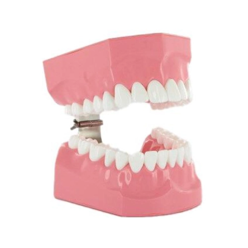 LACTONA POETSMODEL 900